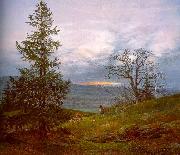 Johan Christian Dahl Evening Landscape with Shepherd France oil painting reproduction